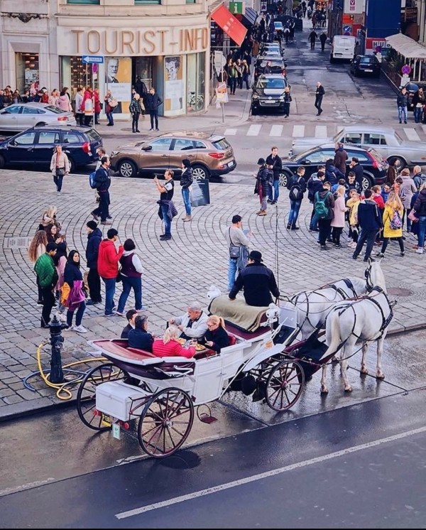 Horse-Drawn Carriage Ride with Sparkling Wine and Food